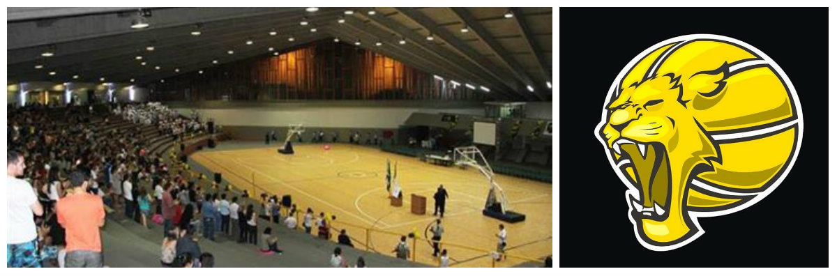 ginasiao-cm-basquete