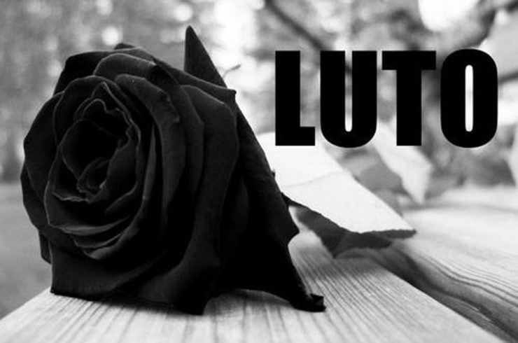 Luto-APP-740x490