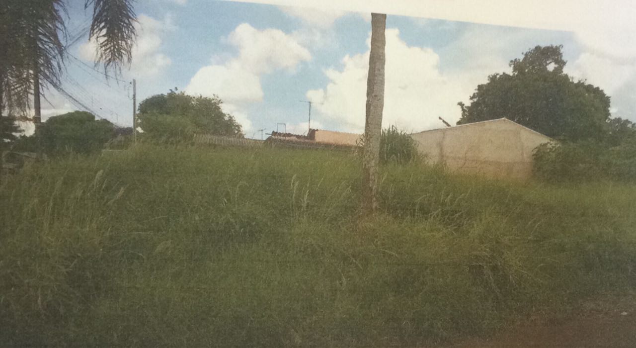 thumbnail_lotes-leilao (2)